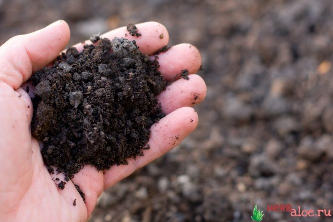 Почва за растения