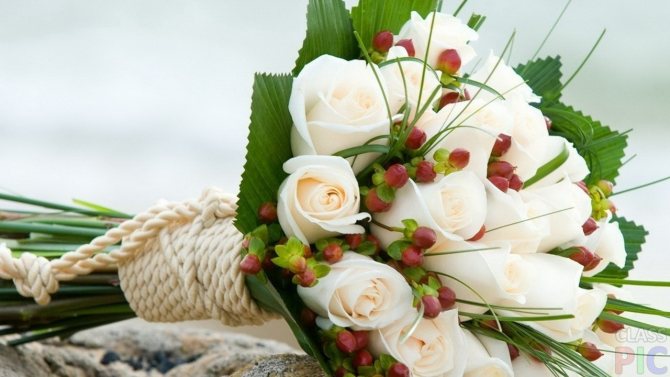 Ljubavne poruke bijele ruže