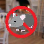 Как да хванем мишка в частна къща или гараж?