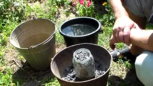 как да направите инфузия от пепел за поливане на стайни растения
