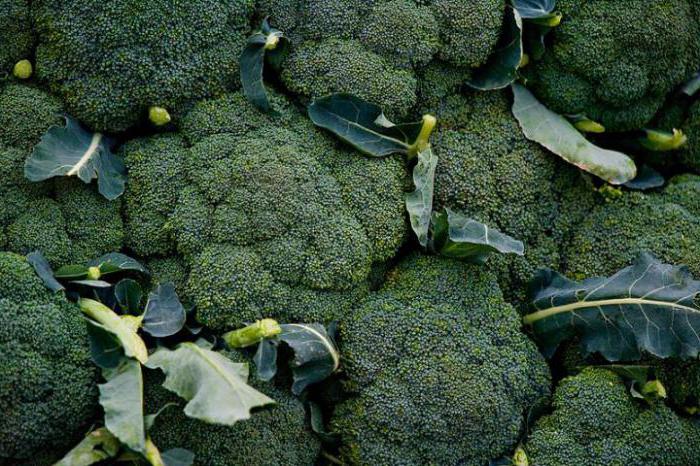 Как да засадите броколи
