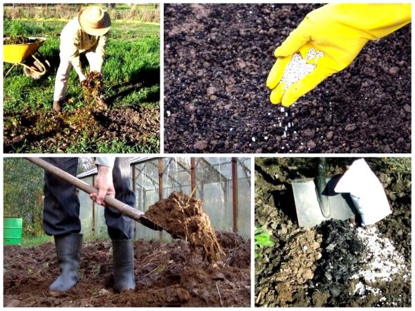 Кога да копаем градина: през есента или пролетта