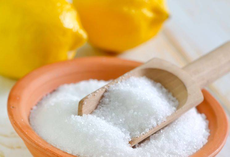 Лимонена киселина за борба с гъбичките в оранжерията