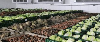 съхранение на зеленчуци в склада