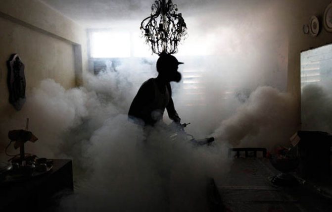 Третиране на стаята със студена мъгла срещу насекоми