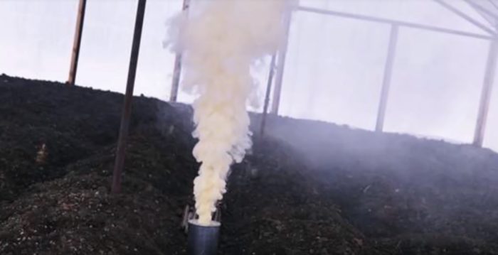 опушване на растения с тютюнев прах