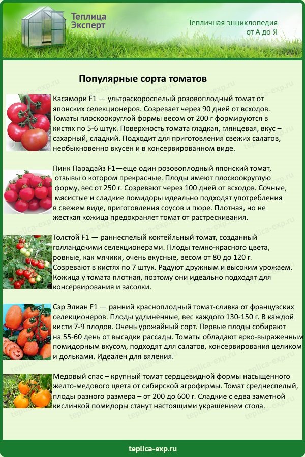 Популярни сортове домати