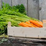 Начини за съхранение на моркови за зимата